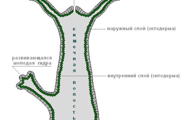 Работающий сайт кракен