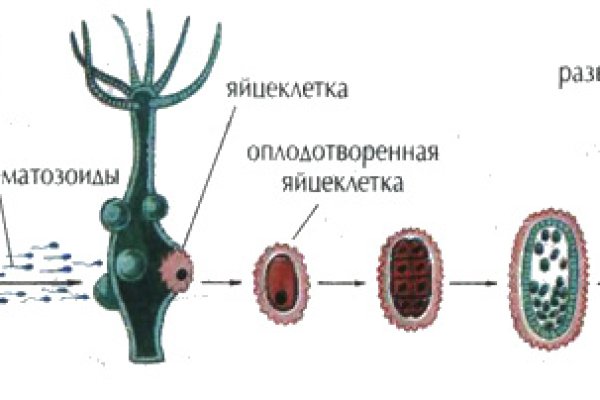 Кракен ссылка на тор